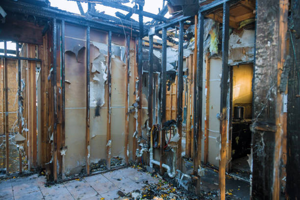 Professional Fire Damage Assessment technician working in Camp Pendleton South, CA